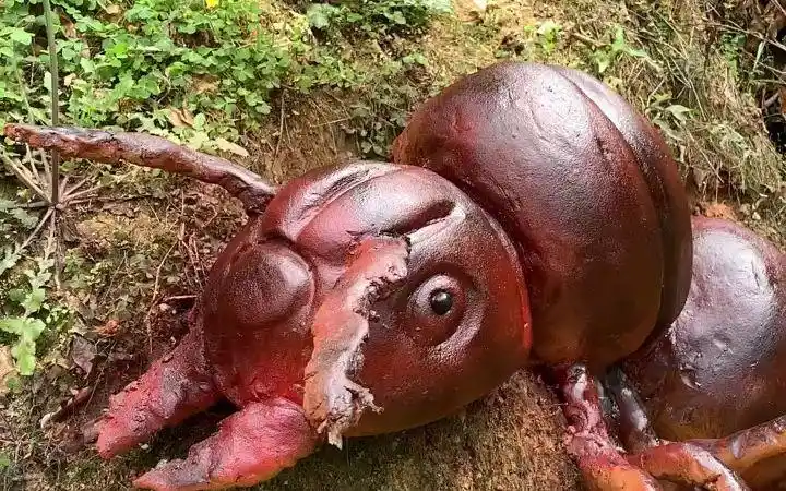 巨型蚂蚁,比人还高大