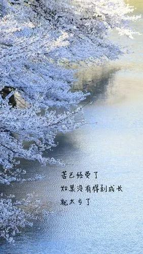 励志文字语录高清手机壁纸图片-唯美-手机壁纸下载-美桌网