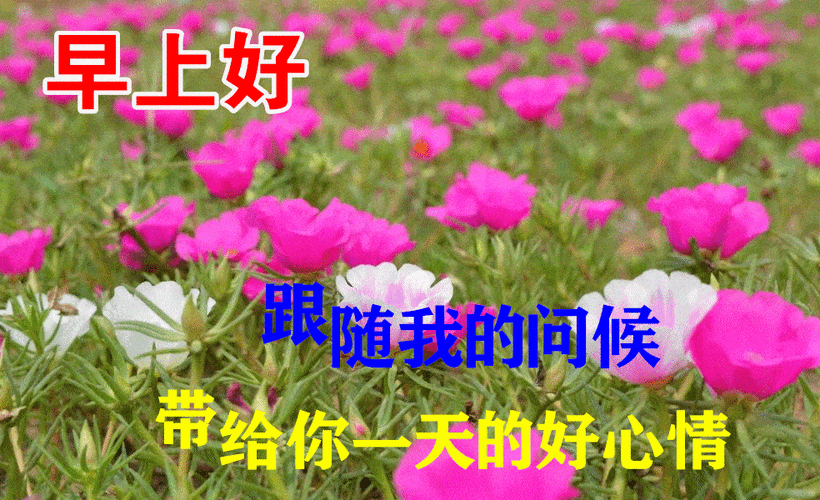 早上好动态表情包大全,送给朋友一颗心,把友谊的情感守候!_问候